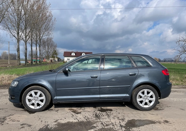 Audi A3 cena 21900 przebieg: 248000, rok produkcji 2011 z Chojnów małe 436